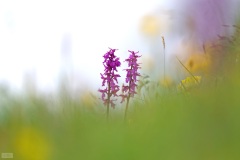 0892175E-D4E4-4C9A-B892-7D0339521EC9-2