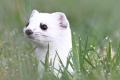 1_hermine210213-scaled