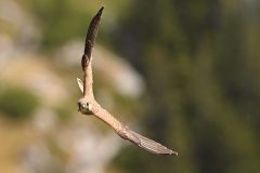 DSC_5477-1-edited-scaled