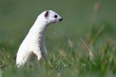 hermine020311-scaled