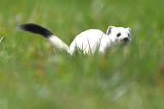 hermine020320-scaled