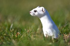 hermine301214-scaled