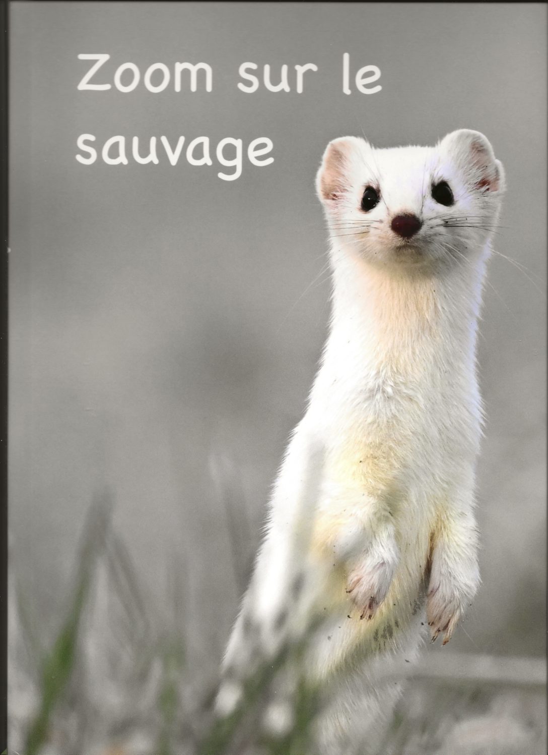 Livre photographique - Zoom sur le sauvage